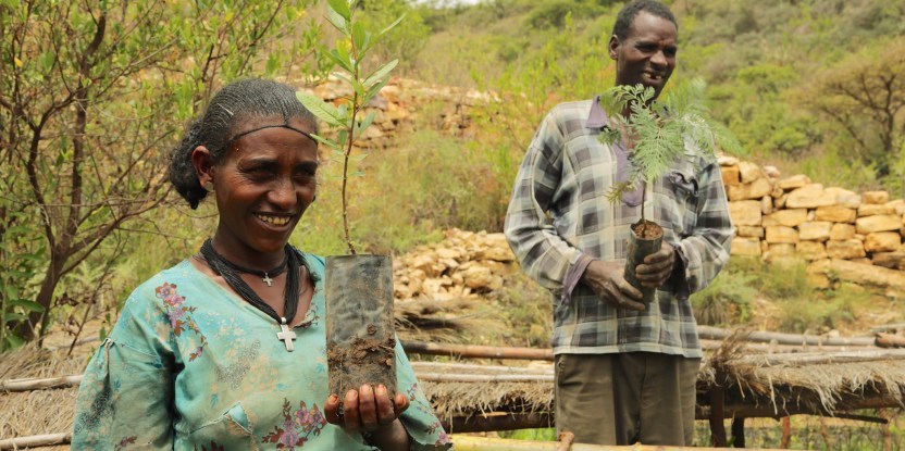 Etiopia-planta-arboles Etiopía plantará este verano 4000 millones de árboles como "legado verde"