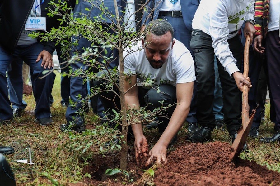 Etiopía-primer-ministro-planta-arboles Etiopía plantará este verano 4000 millones de árboles como "legado verde"