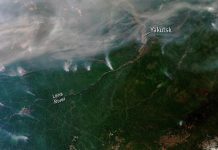 ESA: Cientos de incendios forestales se han desatado en Siberia. Algunos se pueden ver desde el espacio, como se ve en esta imagen de satélite