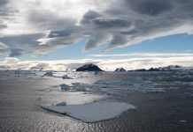 OMM/Gonzalo Javier Bertolotto Quintana: Piezas de hielo flotando en el Canal Príncipe Gustavo, en la Antártida, donde antes existían plataformas de hielo de más de 28 km.