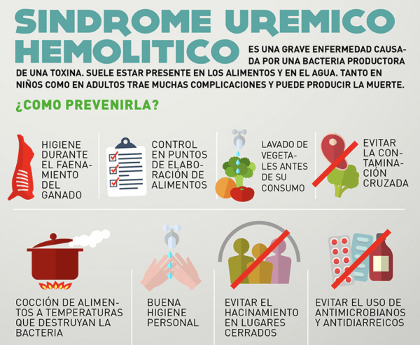 Sindrome-hemolítico-urémico-600x492 Síndrome Hemolítico Urémico: una enfermedad infantil grave