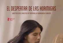 el despertar de las hormigas poster