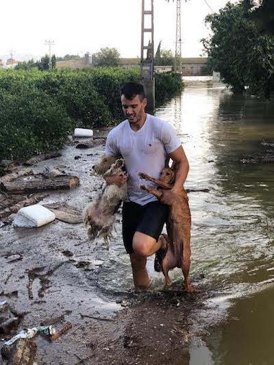 salvando-animales-perros Los olvidados de la Dana: cientos de animales y sus salvadores