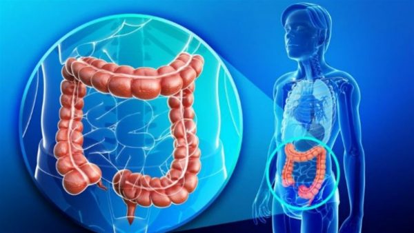 Cancer-colon-600x338 Cáncer de colon: una analítica podrá predecir con 15 años la enfermedad