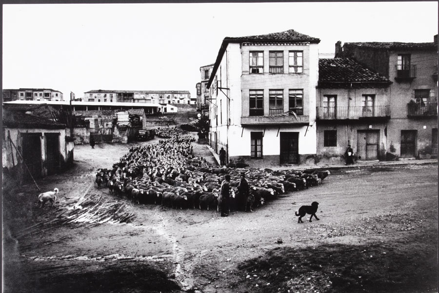 Ontañón-Trashumancia-1963 Un viaje por la fotografía de Francisco Ontañón