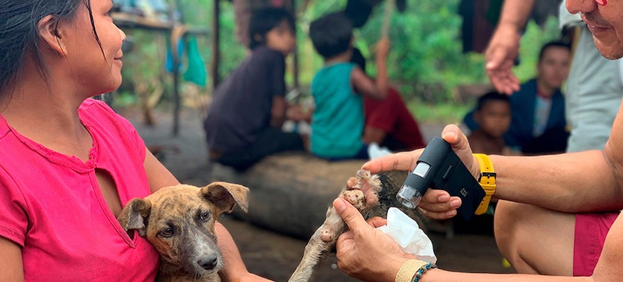 Isabelle-Roger-PAHO-WHO-virus-rabia-en-perros-domésticos La OMS valida a México como país libre de rabia trasmitida por perros