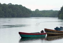 UNDP/Roberto Machazek: La selva del Darién, en Panamá.