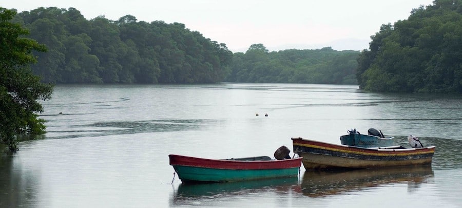 Darien-frontera-Colombia-y-Panamá Unicef alerta sobre menores que cruzan el Darién para alcanzar Norteamérica