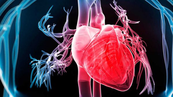 i-600x338 Infarto de miocardio: cuando el cuerpo avisa, ve a urgencias