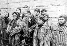 Auschwitz niños supervivientes