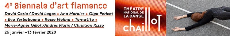 banner-bienal-flamenco-paris-ENE2020 El Flamenco comienza 2020 en Francia