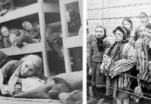 Auschwitz: mujeres y niños gitanos