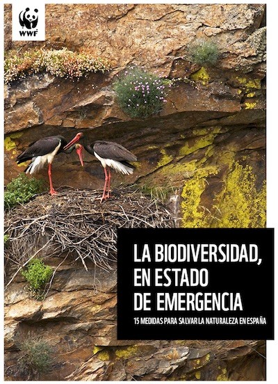 WWF-España-medidas-biodiversidad Quince medidas de WWF para salvar la naturaleza en España