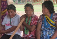 Tatjig, Logo y Typu Arara. Sentada en el centro está Logo, la mujer más longeva de la comunidad. © Leila Burger / Survival