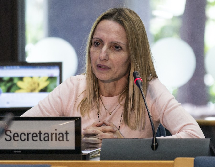 Tina-Birmpili Tina Birmpili asumirá la Secretaría Ejecutiva Adjunta de la UNCCD en octubre 2020