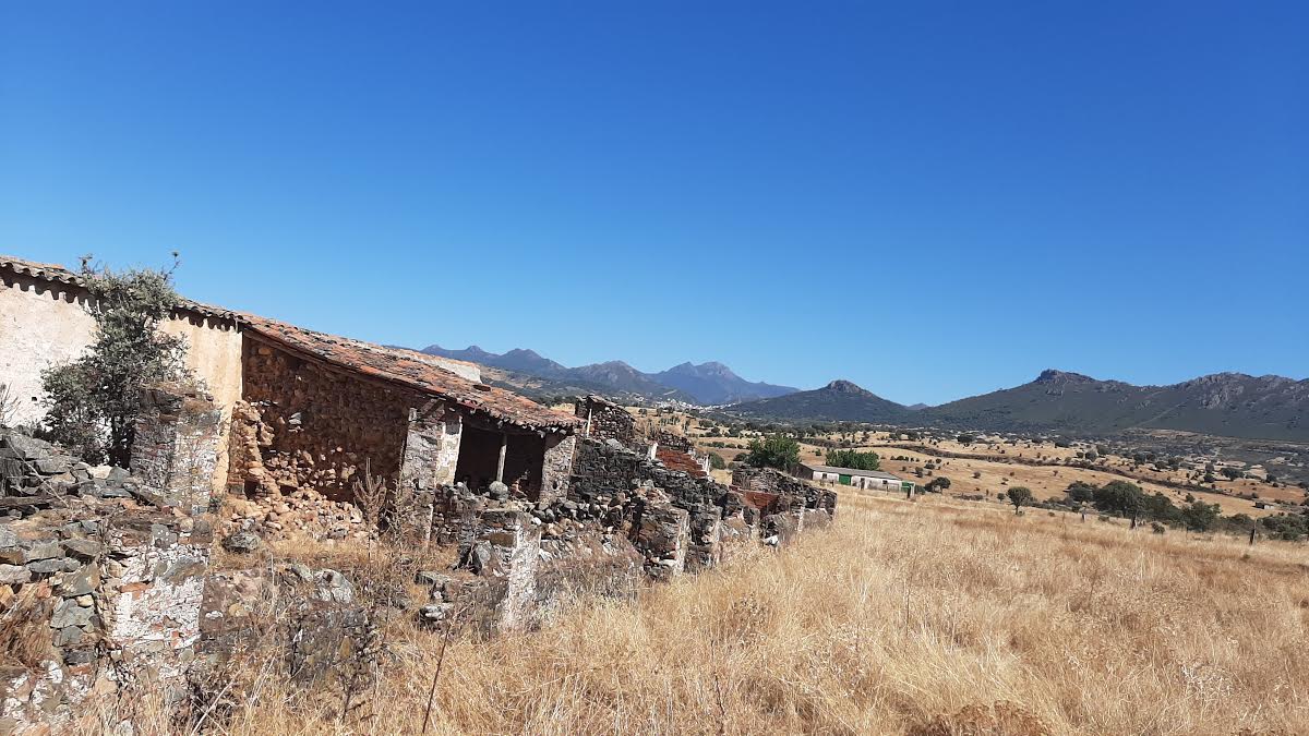 0-4-1 Carámbanos, medusas y cambio climático