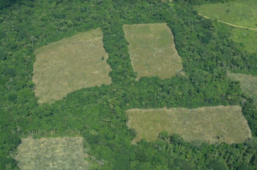Deforestación-Amazonia-Colombia-©-Infoamazonia-900x598 América Latina: la propuesta de cambiar deuda publica por naturaleza revive en Dubai