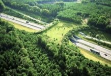 Holanda ecoducto sobre la A50 para la fauna