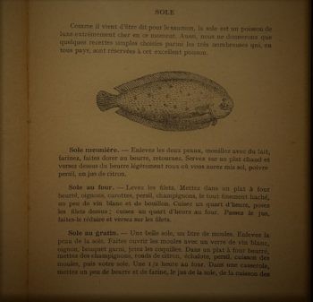 La-sole-est-un-poisson-350x337 De la colocación a la calcomanía (y 2)