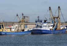 Barcos de pesca de Holanda en el puerto de Vlissingen, Países Bajos