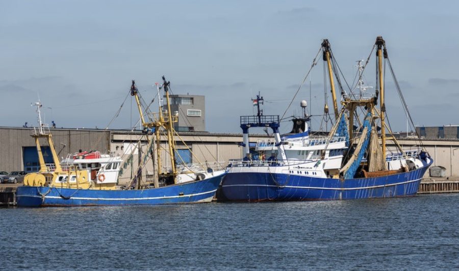 barcos-pesca-holanda-en-vlissingen-países-bajos-e1614942194551 La pesca en la UE: solo se puede gestionar de manera sostenible si se contabiliza todo lo capturado