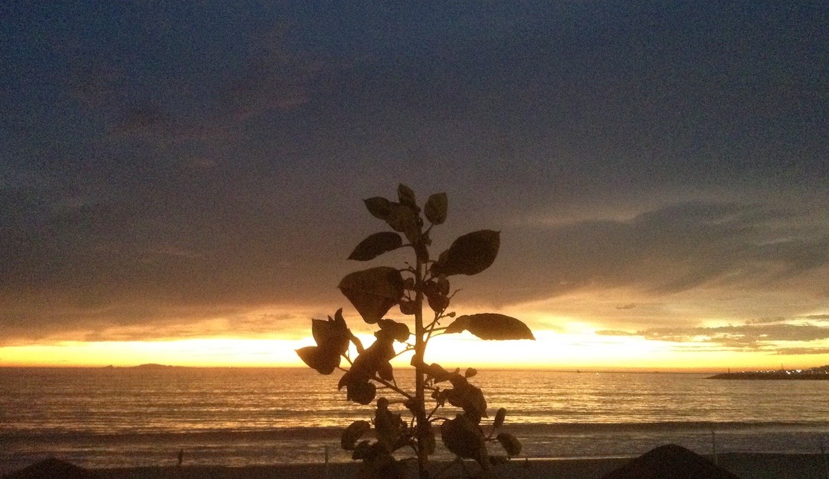 ©-kontxaki-ocaso-en-ensenada Entra en vigor el tratado medioambiental de Escazú para América Latina y Caribe