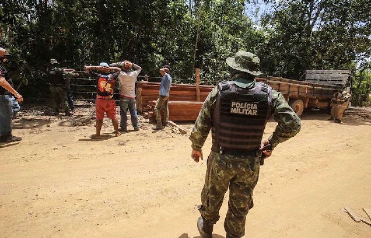 Brasil-tala-ilegal-©-Alex-Ribeiro-Ag-Pará Los militares y la corrupción deforestan Brasil