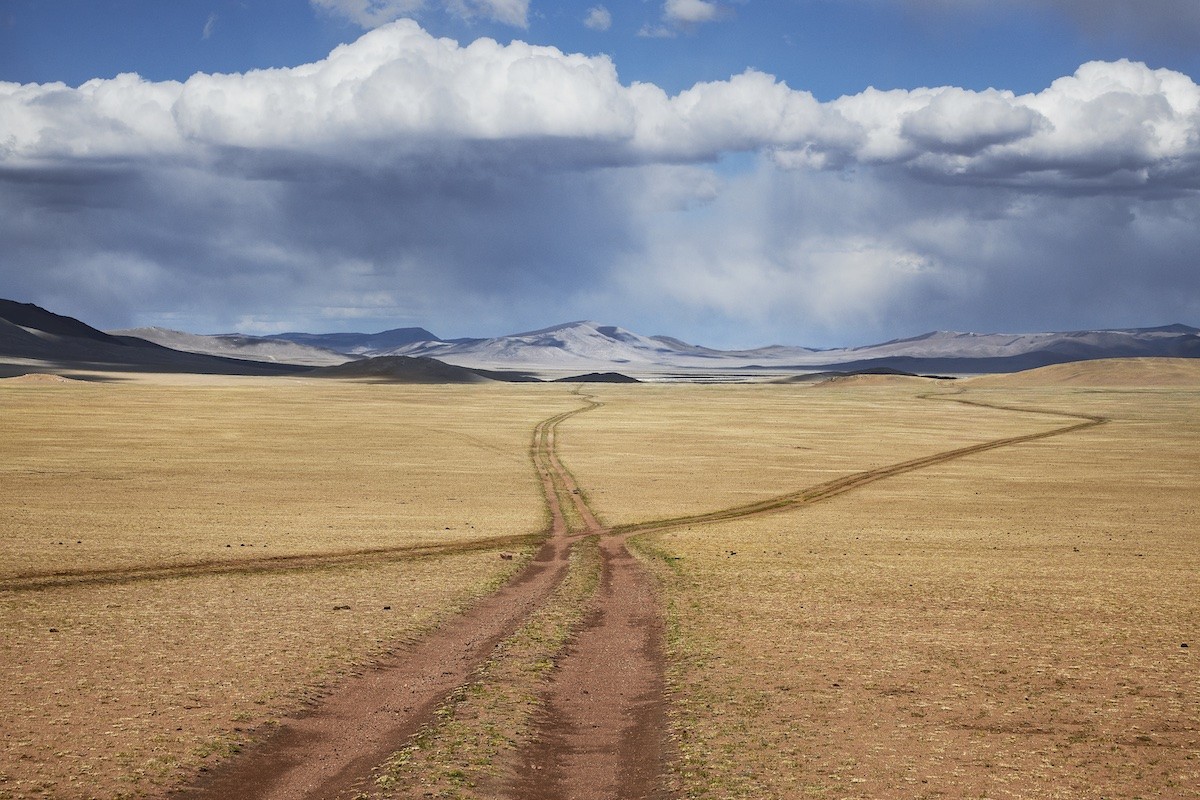 mccurry-mongolia-caminos Al arte por el fotoperiodismo