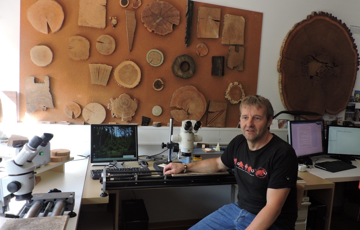 fabien-langenegger-laboratorio La Dendrocronología y la memoria del agua ayudan a datar un galeón español