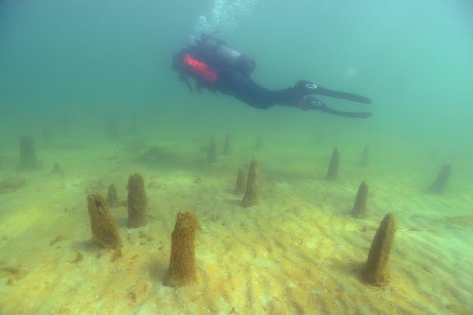 fabien-langenegger-yacimiento-submarino La Dendrocronología y la memoria del agua ayudan a datar un galeón español