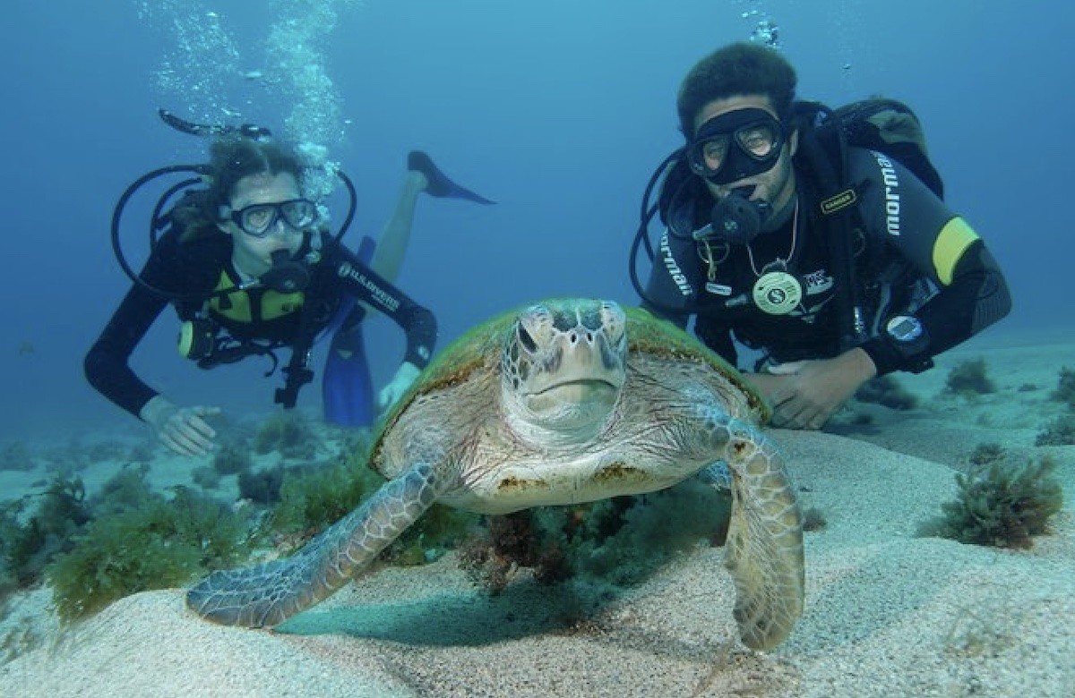 brasil-fernando-de-noronha-submarinismo Viajar para escapar del invierno