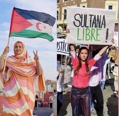 sultana-jaya-libertad-movilizaciones Relatora de la ONU recoge los ataques a la saharaui Sultana Jaya mientras el ministro español calla