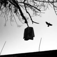 graciela-iturbide-madhya-pradesh-india-1998‌-200x201 «Heliotropo 37» Graciela Iturbide en París