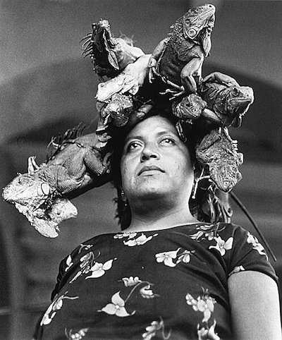 graciela-iturbide-nuestra-senora-de-las-iguanas-juchitan-oaxaca-1979-copia «Heliotropo 37» Graciela Iturbide en París