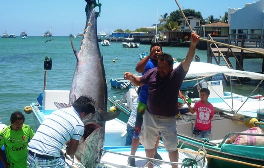 Ecuador-Galápagos-pesca-artesanal-©-MAG-900x573 Las necesidades pesqueras de China amenazan las reservas de América Latina
