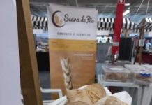 El Pao de Sao Miguel de la panadería Seara de Pao, el mejor de Portugal.