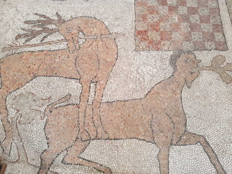 ajedrez-italia-catedral-de-otranto-ciervo-centauro El misterioso tablero de Ajedrez de Otranto