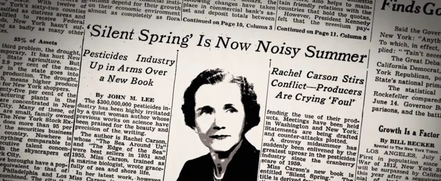 rc-900x370 La Primavera Silenciosa, de Rachel Carson, 60 años después