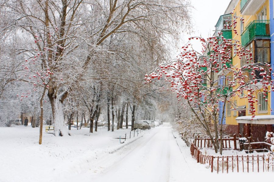 rusia-siberia-academgorodok-invierno-900x598 Viajes por la URSS: Siberia