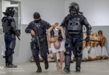 Presuntos pandilleros durante su traslado al Centro de Confinamiento del Terrorismo, una megacárcel construida por el gobierno de Nayib Bukele, en el Salvador, para acoger a 40 000 detenidos, acusados de pertenecer al crimen organizado