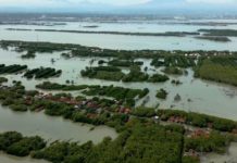 Frente a la costa de Demiak, en Java central, Indonesia, el calentamiento global está elevando el nivel del mar, se recorta un cinturón de manglares y la zona queda propensa a inundaciones. © Nathanial Brown / Pnuma