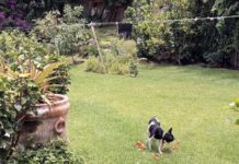 Camila con las flores del jardín