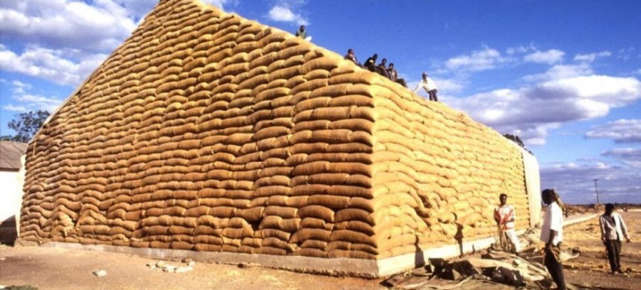 maiz-zambia-©-alberto-conti-fao-900x408 Caen las cotizaciones de la mayoría de los cereales, aceites vegetales y productos lácteos