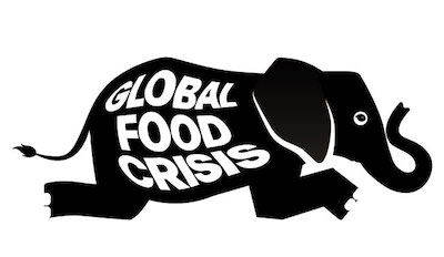 global-food-crisis-elefante Activistas de derechos humanos reclaman una cumbre de la ONU sobre la crisis alimentaria mundial