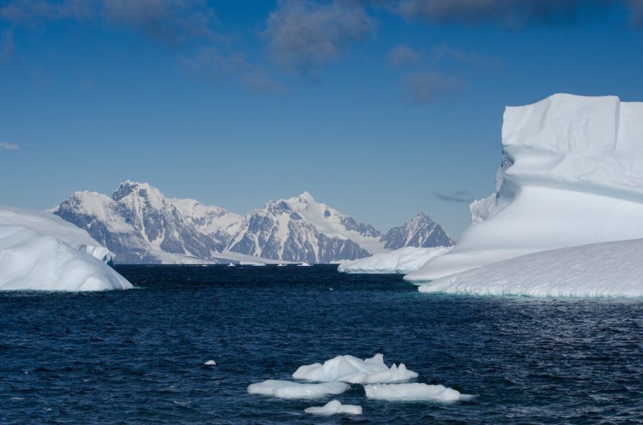 antartida-icebergs-en-rothera-©-123rf-900x596 Icebergs, osos, ballenas