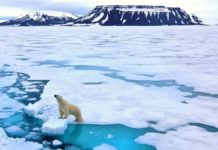 El derretimiento de grandes capas de hielo continuó durante 2023, uno de los años más cálidos jamás registrados en la región ártica. © Sepp Friedhuber / Ecowatch