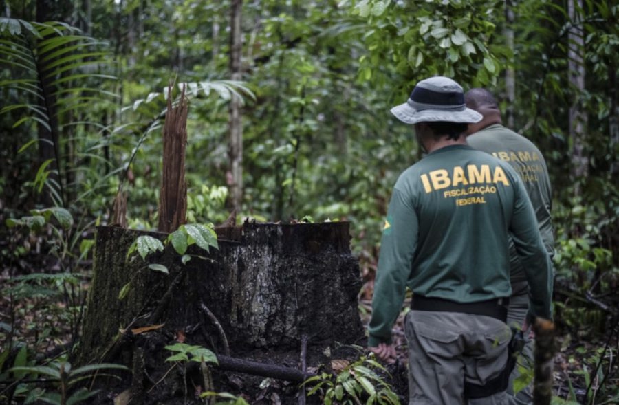 brasil-agentes-medioambientales-identifican-zonas-deforestadas-©-felipe-werneck-ibama-900x589 América Latina elabora leyes contra los delitos ambientales