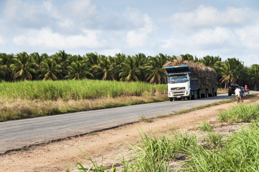 Brasil-transporte-de-cana-de-azucar-para-produccion-de-etanol-2008-900x598 Brasil con problemas de logística para conseguir emisiones cero en 2050