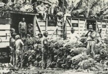 Trabajadores de la United Fruit Company en América Central