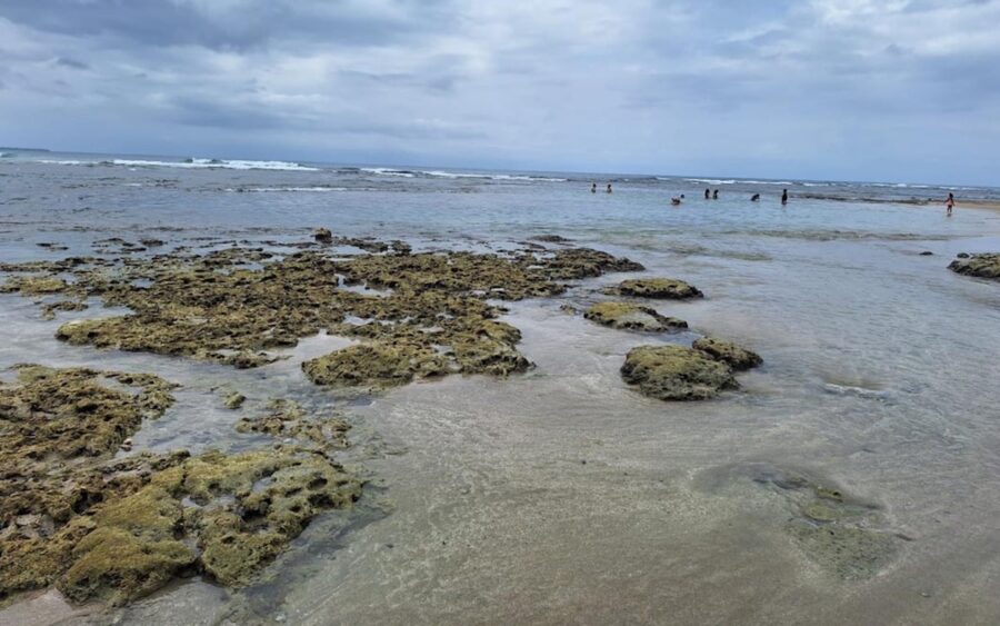 Costa-Rica-costa-de-Cohauila-©Alonso-Martinez-900x563 Costa Rica: el Caribe sur amenizado por el cambio climático